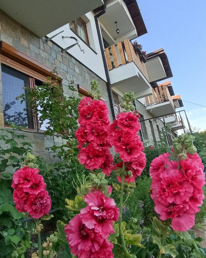 Lesnovo House Tomevski 외부 사진